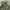 Vintage 80’s Us Navy Woodland Camouflage Jacket Reworking Ve photo 2