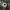 Vintage M65 Field Military Jacket photo 5