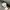Vintage M65 Field Military Jacket photo 8