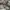Vintage M65 Field Military Jacket photo 4
