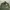 Vintage M65 Field Military Jacket photo 2