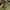 Vintage M65 Field Military Jacket photo 7