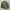 Vintage M65 Field Military Jacket photo 6
