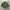 Vintage M65 Field Military Jacket photo 1