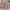 BODIES LAVISH PLEATED TENNIS SKIRT / SKORT BLUSH / ROK OLAHR photo 3