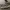 Vans sk8 low photo 2