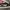 Vans sk8 low photo 3