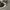 Asics Gel-1130 White Clay Canyon photo 3