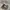 Vans Style 36 photo 3