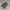Vans Style 36 photo 1