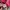 Exquisite Jpg Style Longsleeve photo 7