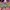 Exquisite Jpg Style Longsleeve photo 5