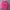 KIRSH Streetwear Sweater Wanita Pink