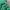 Heineken Green Parka Jacket photo 3