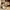 tantop (Aesthete yourlife) photo 1
