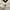 Mizuno winbreaker big logo bw  photo 4