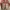 Sendal Birkenstock ANAK/WANITA photo 3