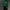 Ben Davis Hoodie Green 