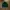 Ben davis hoodie green  photo 3