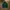 Ben davis hoodie green  photo 2