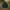 Ben Davis Hoodie Green 