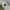 Nett Fendi Baguette Canvas shoulder bag photo 6