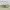 Nett Fendi Baguette Canvas shoulder bag photo 1
