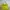 Hermes Birkin 30 handbag yellow balzip RIRI photo 1