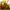 Hermes Birkin 30 handbag yellow balzip RIRI photo 4