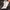 Champion quilted outer jacket photo 3