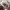 Callaway x New Era Golf Hat photo 6