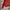 Knitwear Halfzip Velvet by Dunlop photo 7