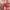 Adidas Sportwear Stripes Hat Red