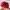 Adidas Sportwear Stripes Hat Red photo 6
