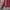 Knitwear Halfzip Pattern 3D by City Coll photo 7
