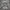 Knitwear Halfzip Pattern 3D Multi Color
 photo 4