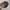 Realtree hat Under Armour photo 6