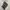 Slip midi skirt women photo 4