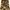 jaket military camo 10deep photo 4