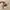 Longchamp Mini Pouch In Pappier / Cream / Papper photo 1