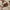 Longchamp Mini Pouch In Pappier / Cream / Papper photo 3