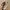 Longchamp Mini Pouch In Pappier / Cream / Papper photo 8
