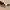 Longchamp Mini Pouch In Pappier / Cream / Papper photo 5