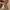 Longchamp Mini Pouch In Pappier / Cream / Papper photo 7