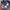 NIKE DUNK LOW SE (GS) WHITE RACER BLUE photo 1