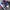 NIKE DUNK LOW SE (GS) WHITE RACER BLUE photo 4