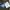 Trouser pants Gerry skinny tapered photo 2