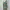 Rare Vintage Kansai O2 Music Art photo 3
