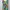 Rare Vintage Kansai O2 Music Art photo 2
