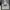 Marithe Francois Girbaud T-Shirt Dark Grey photo 6